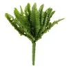 Top 10 ⭐ Ashland® Fern Collection Mini Boston Fern Bush 🎉 2 Top 10 ⭐ Ashland® Fern Collection Mini Boston Fern Bush 🎉 -Ashland Shop 10335158