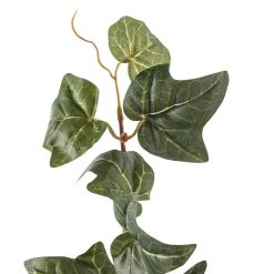 Cheapest 🛒 German Ivy Bush Ivy Collection by Ashland® ✔️ -Ashland Shop 10335273 20