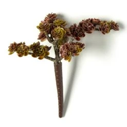 Discount 💯 Creeping Red Sedum Pick by Ashland® 🤩 -Ashland Shop 10337815 21