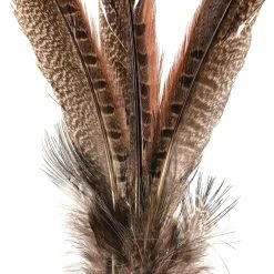 Budget π Pheasant Feather Picks by Ashland® π 8 Budget π Pheasant Feather Picks by Ashland® π -Ashland Shop 10355706 20