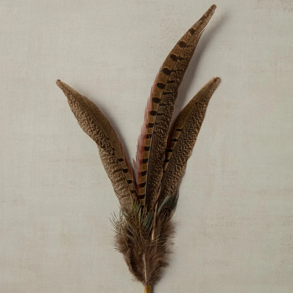 Budget π Pheasant Feather Picks by Ashland® π 6 Budget π Pheasant Feather Picks by Ashland® π - Image 4