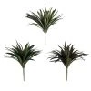 Cheapest 😉 12 Pack: Assorted Cordyline Bush by Ashland® ❤️ -Ashland Shop 10356827 1