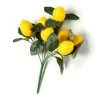 Hot Sale ✔️ Artificial Lemon Bushes by Ashland® 🤩 -Ashland Shop 10360024 21