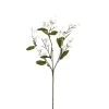 Best deal 🔔 Double Baby's Breath Stem by Ashland® ⌛ -Ashland Shop 10368584 1