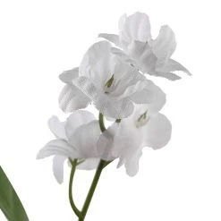 Best deal 🔔 Double Baby's Breath Stem by Ashland® ⌛ -Ashland Shop 10368584 20