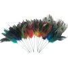 New ✨ Assorted Colorful Feather Pick by Ashland® 😍 -Ashland Shop 10373846 6