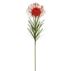 Hot Sale 😍 Tropical Needle Protea Spray by Ashland® 🔔 -Ashland Shop 10381033
