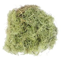 Best deal ⭐ Ashland® Spanish Moss—Basil Green ✔️