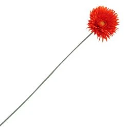 Best Pirce ✨ 12 Pack: Orange Spider Gerbera Daisy Spray by Ashland® ✔️ -Ashland Shop 10392668 1