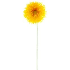 Buy 🧨 Jumbo Spider Gerber Daisy Stem by Ashland® 🔥 -Ashland Shop 10392672