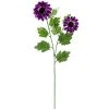 New ✔️ 12 Pack: Purple Zinnia Mum Spray by Ashland® 😉 -Ashland Shop 10392967 1