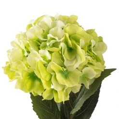 Outlet 🌟 Garden Blooms Hydrangea Stem by Ashland® ✔️ 8 Outlet 🌟 Garden Blooms Hydrangea Stem by Ashland® ✔️ -Ashland Shop 10400667 20