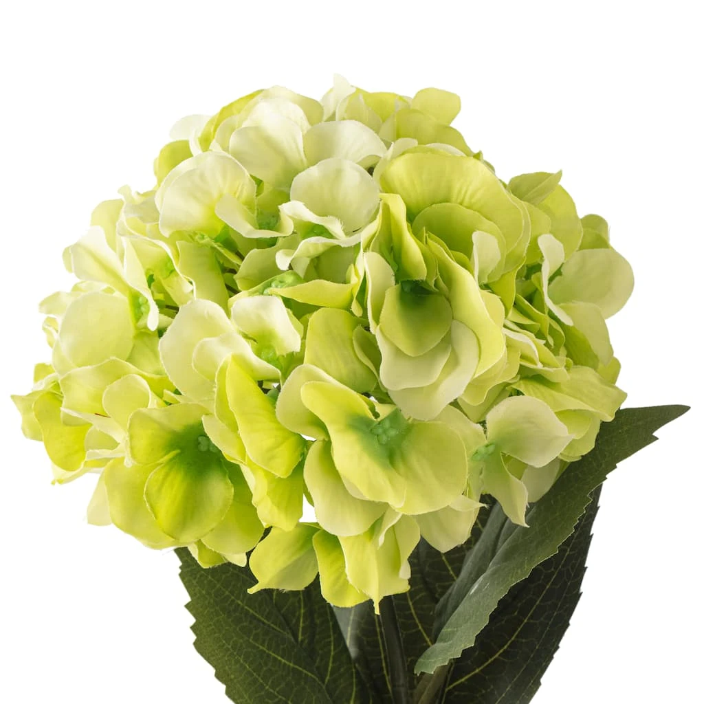 Outlet 🌟 Garden Blooms Hydrangea Stem by Ashland® ✔️ 5 Outlet 🌟 Garden Blooms Hydrangea Stem by Ashland® ✔️ - Image 3