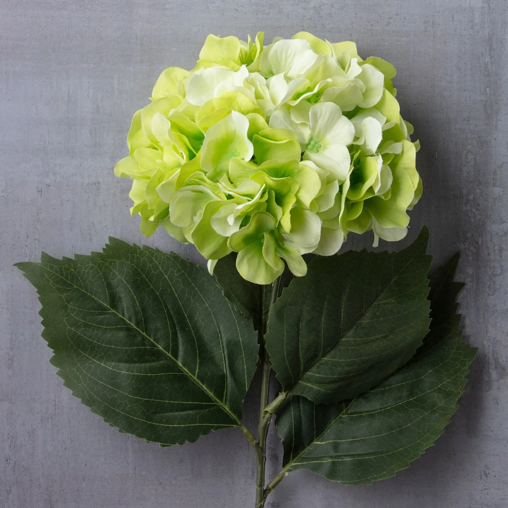 Outlet 🌟 Garden Blooms Hydrangea Stem by Ashland® ✔️ 4 Outlet 🌟 Garden Blooms Hydrangea Stem by Ashland® ✔️ - Image 2