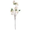 Hot Sale 👏 Cream Apple Blossom Branch Stem by Ashland® 🔔 -Ashland Shop 10400688