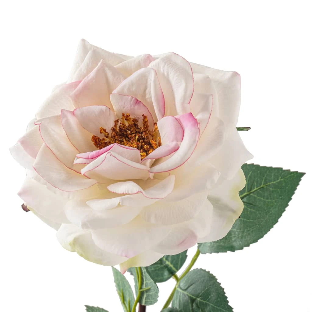 Discount π― Real Touch™ White Orlane Rose Spray by Ashland® π 5 Discount π― Real Touch™ White Orlane Rose Spray by Ashland® π - Image 3