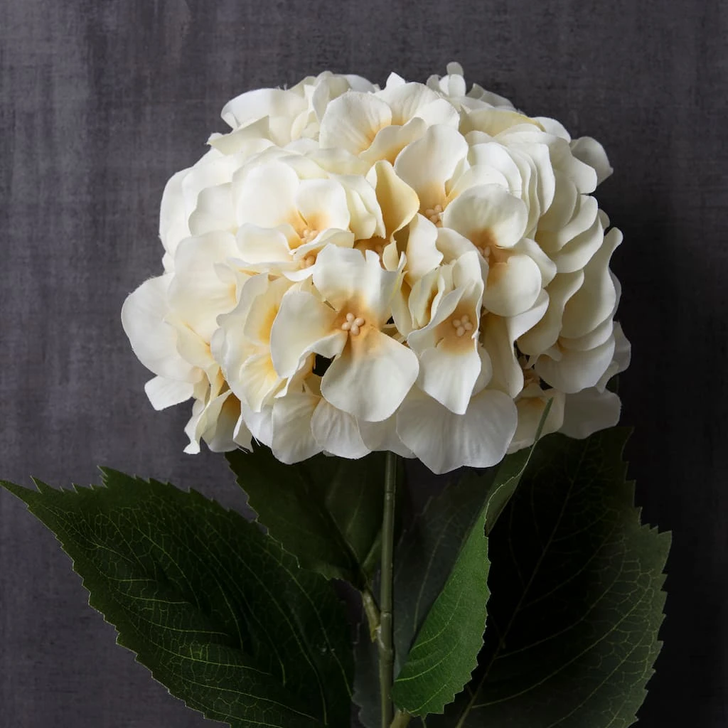 Discount π― Real Touch™ White Orlane Rose Spray by Ashland® π 4 Discount π― Real Touch™ White Orlane Rose Spray by Ashland® π - Image 2