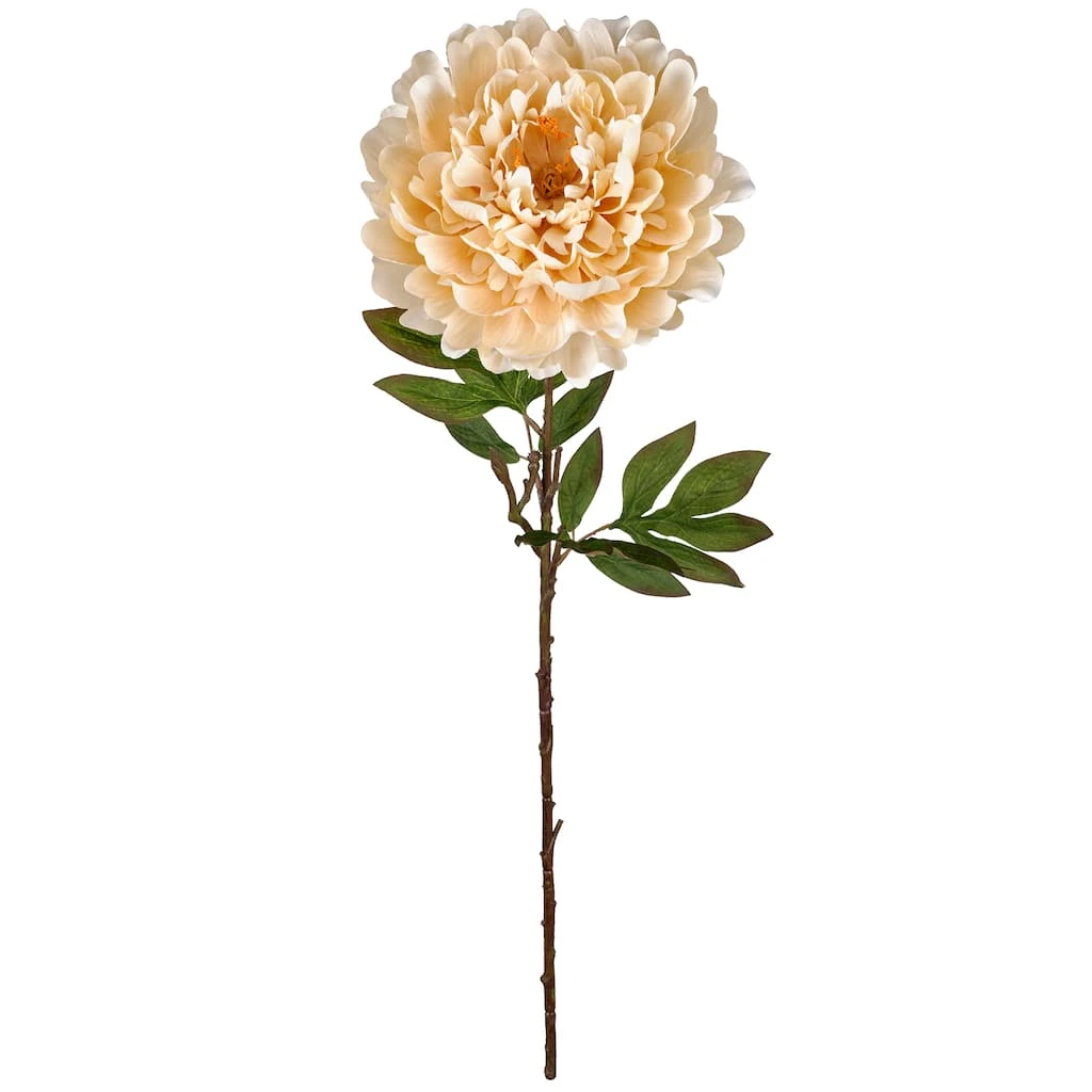 New ❤️ 12 Pack: Cream Peony Stem by Ashland® ✨ 3 New ❤️ 12 Pack: Cream Peony Stem by Ashland® ✨