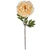 Best Pirce 🔥 Jumbo Cream Peony Stem by Ashland® 🔔 -Ashland Shop 10402091