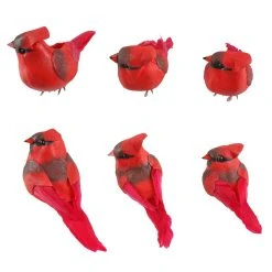 Budget 🧨 Red Cardinal Set by Ashland® 🎉