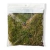 Deals 🔥 Forest Green Preserved Moss by Ashland® ⭐ -Ashland Shop 10407975 20