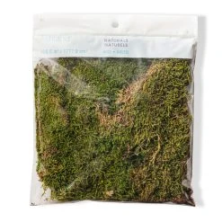 Deals 🔥 Forest Green Preserved Moss by Ashland® ⭐