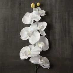 Brand new 😍 Phaleanopsis Orchid by Ashland® 👏 -Ashland Shop 10413038 25