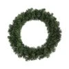 Coupon 🛒 24" Noble Fir Wreath by Ashland™ ⌛