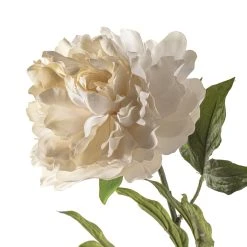 Cheap 🔥 White Peony Spray by Ashland® Classic Traditions™ 🥰 8 Cheap 🔥 White Peony Spray by Ashland® Classic Traditions™ 🥰 -Ashland Shop 10430216 20