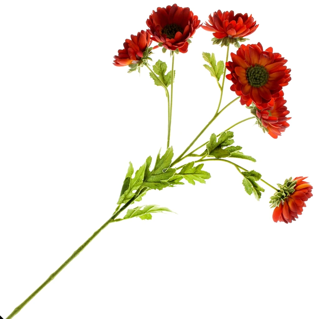 Cheap π€© 12 Pack: Rust Daisy Mum Spray by Ashland® π 3 Cheap π€© 12 Pack: Rust Daisy Mum Spray by Ashland® π