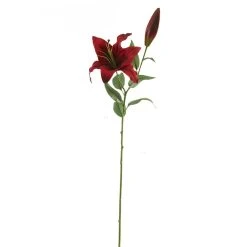 Wholesale 😀 12 Pack: Red Casablanca Lily Stem by Ashland® 👏