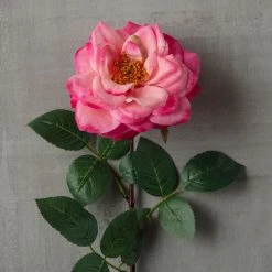 Outlet ❤️ Garden Bloom Orlane Rose Stem Ashland™ 🧨 -Ashland Shop 10430472 25