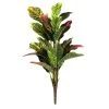 Budget ⌛ Croton Bush Classic Greenery by Ashland® ✔️ -Ashland Shop 10430898