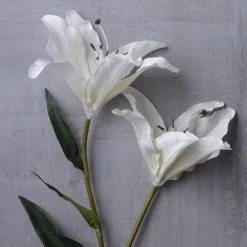 Coupon 🎉 White Lily Stem by Ashland Classic Traditions™ 🌟 -Ashland Shop 10450085 22