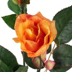 Wholesale ⌛ Rose Spray by Ashland® ✔️ -Ashland Shop 10450090 20