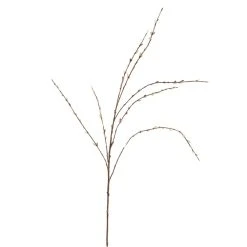 Flash Sale 🎁 Pussy Willow Stem by Ashland® ❤️ -Ashland Shop 10450208