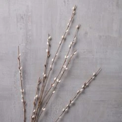 Flash Sale 🎁 Pussy Willow Stem by Ashland® ❤️ -Ashland Shop 10450208 22