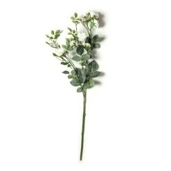 Best deal 💯 Cream Kate Rose Stem by Ashland® 👏