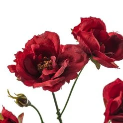 Best deal ✔️ Kate Rose Spray by Ashland® ⭐ -Ashland Shop 10451131 20