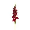 Hot Sale 👏 12 Pack: Burgundy Gladiolus Stem by Ashland® ✨ -Ashland Shop 10451146 1