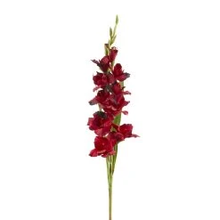 Hot Sale 👏 12 Pack: Burgundy Gladiolus Stem by Ashland® ✨