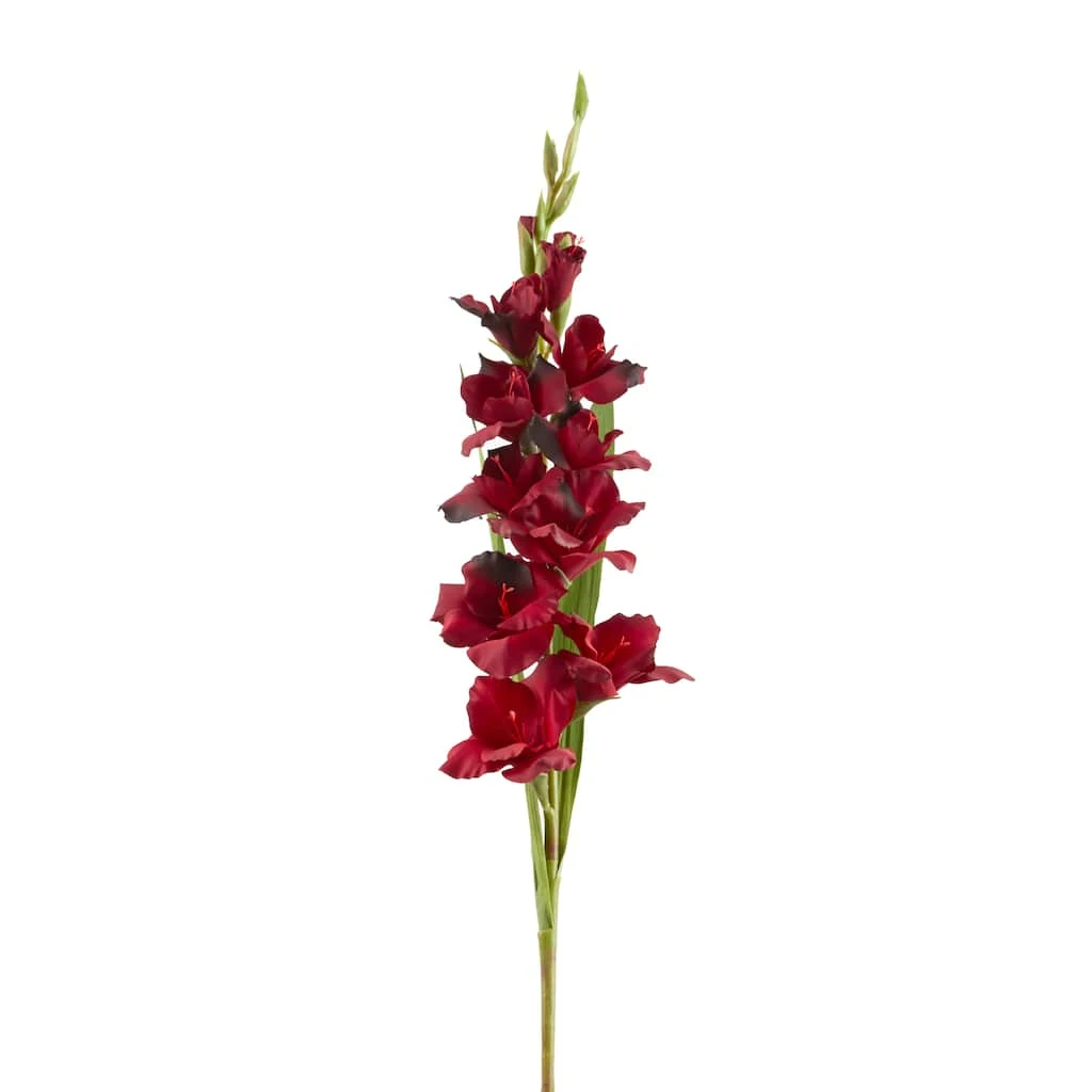 Cheapest π Gladiolus Stem by Ashland® β¨ 6 Cheapest π Gladiolus Stem by Ashland® β¨ - Image 4