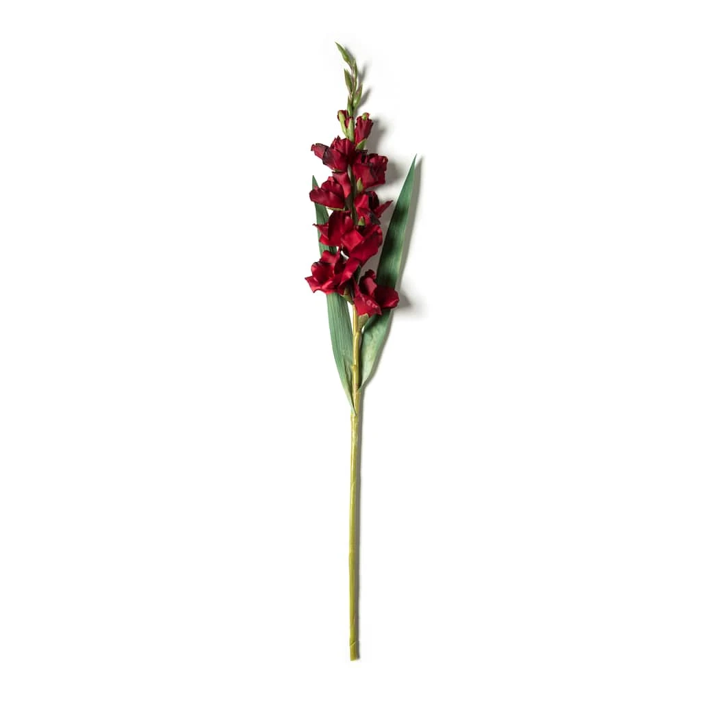 Cheapest π Gladiolus Stem by Ashland® β¨ 3 Cheapest π Gladiolus Stem by Ashland® β¨