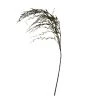 Best reviews of ⌛ Green Weeping Willow Stem by Ashland® ⌛ -Ashland Shop 10457806 1