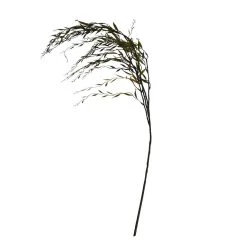 Best reviews of ⌛ Green Weeping Willow Stem by Ashland® ⌛