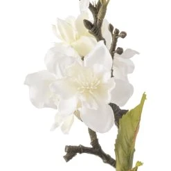Top 10 ⌛ Cream Blossom Stem by Ashland® 💯 -Ashland Shop 10461195 20