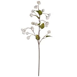 Best reviews of 🌟 Cream Hops Spray by Ashland® ✔️