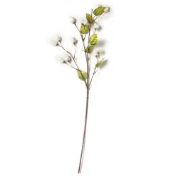 Best reviews of 🌟 Cream Hops Spray by Ashland® ✔️ -Ashland Shop 10461196 21