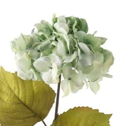 Top 10 ✨ Sea Foam Green Hydrangea Stem By Ashland® 😀 -Ashland Shop 10461200 20