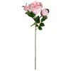 Hot Sale 🎉 Light Pink English Rose Stem by Ashland® ⭐ -Ashland Shop 10461605